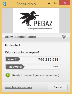 PegazTeam